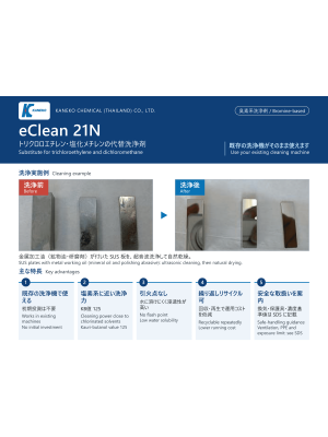 eClean21N_Catalog